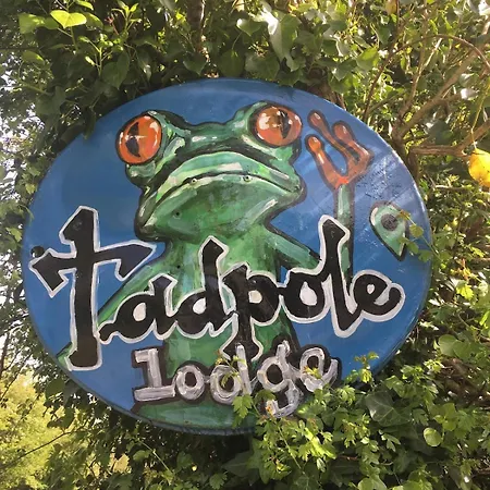 Tadpole *